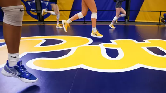 Pitt Volleyball Team, Stock