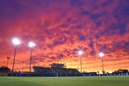Ambrose Urbanic Field sunset