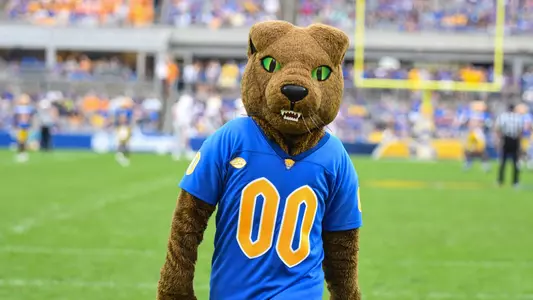 Roc the Panther Football