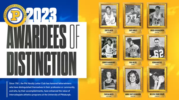 VLC Awardees of Distinction