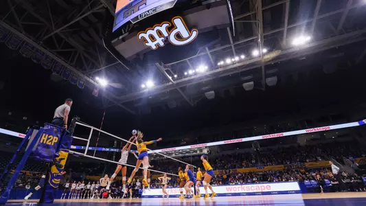 Pitt VB in the Pete 2022