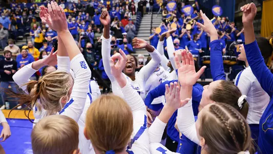 Pitt Volleyball Team