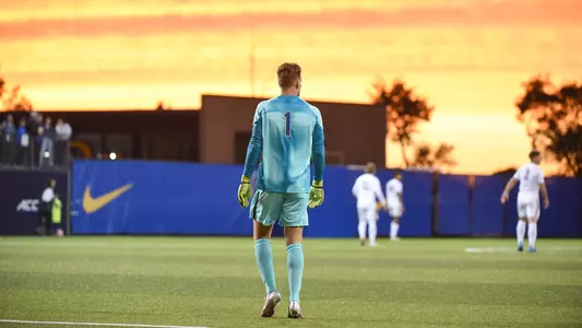 van der Sar