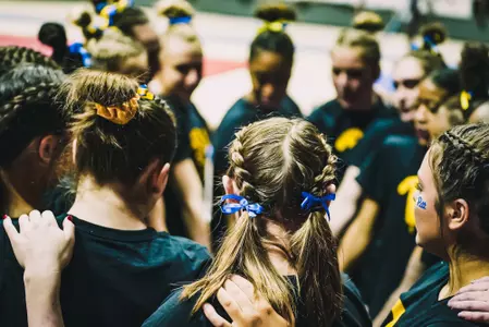 Pitt Backyard Brawl Preview