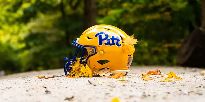A pitt football helmet in the forest
