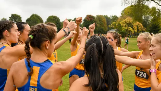 xc acc preview