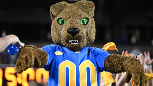 Roc the Panther