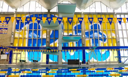 Trees Pool with Pitt Script window decal