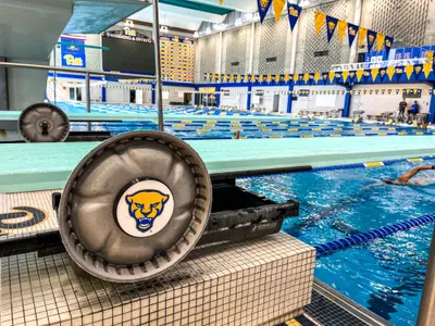 Trees Pool Diving Board with Panther Head detail