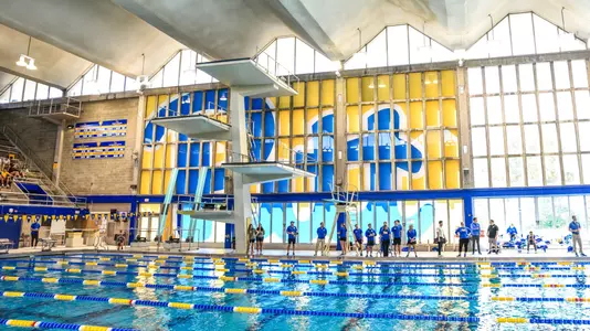 Photo of Trees Pool Diving Boards