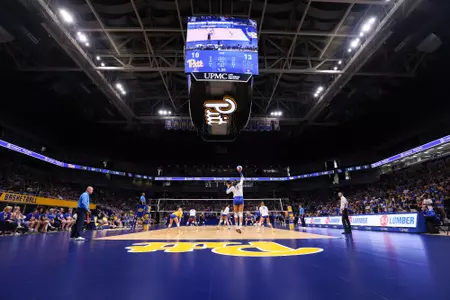 louisvillepreview