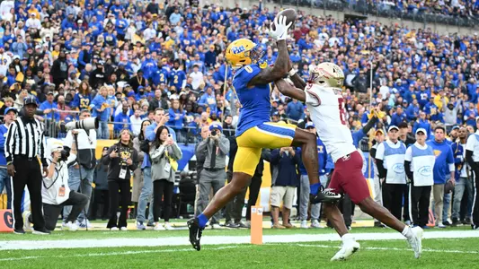 Bub Means TD vs FSU