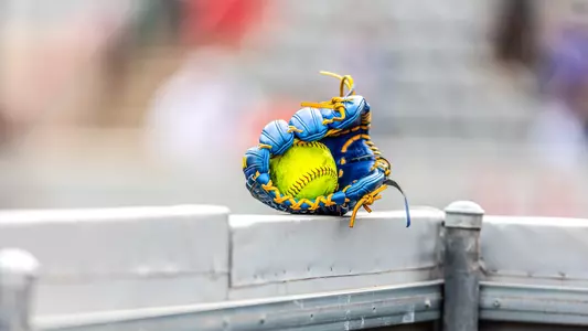 SB Glove