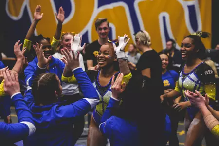 Gym Backyard Brawl