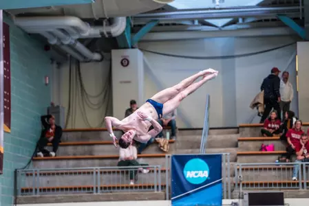 Dylan Reed 1-Meter NCAA