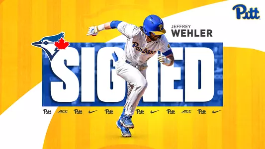 Wehler