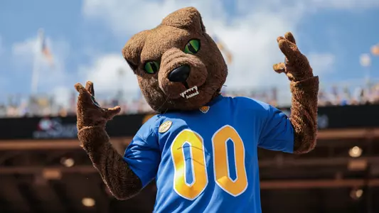 Roc the Panther
