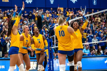 Pitt-Stanford Volleyball
