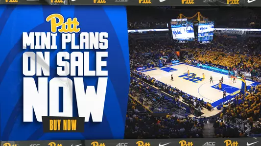 Mini plans on sale now