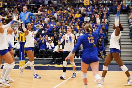 Pitt VB Celebration