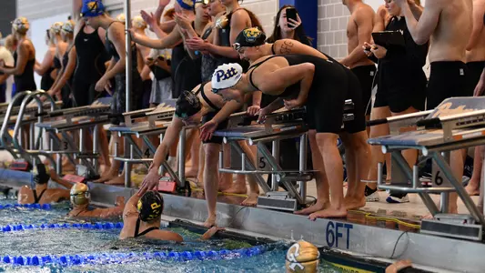 Swim Celebration