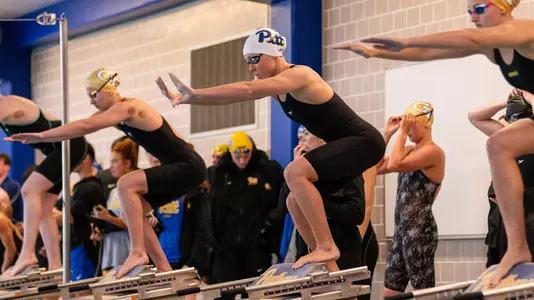 Swim & Dive Action