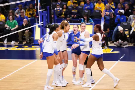 Pitt VB Celebration