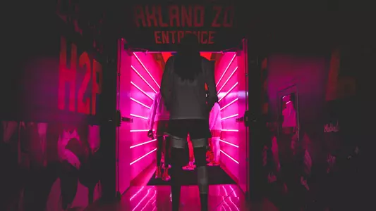 Pink Tunnel