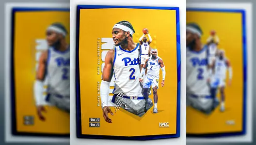 Hinson NABC All-District 2