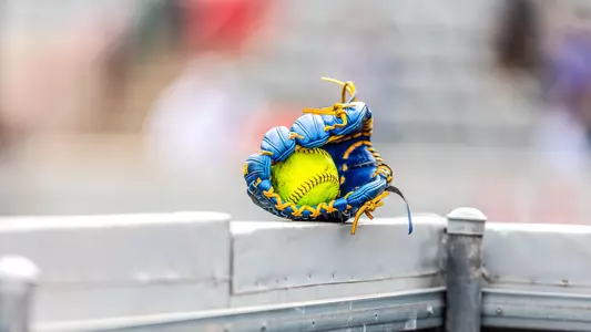 Image of Softball Glove and Ball