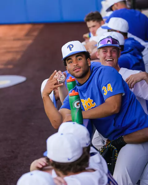 Pitt baseball players celebrate from the dugout