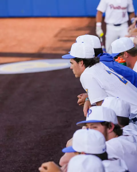 Pitt baseball players watch the action from the dugout