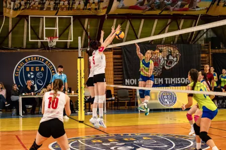 Dalia Vîrlan Signs