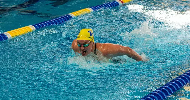 swim and dive