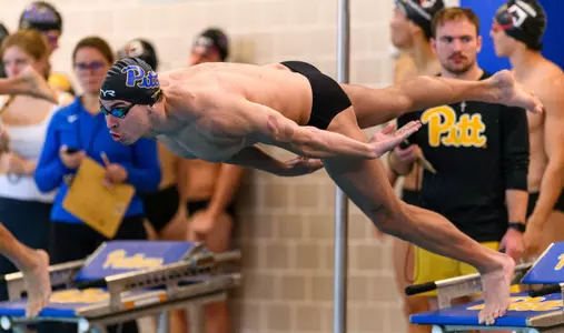 pitt swim dive preview