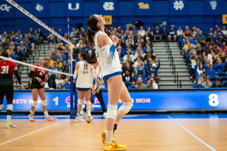 Pitt-UNC15