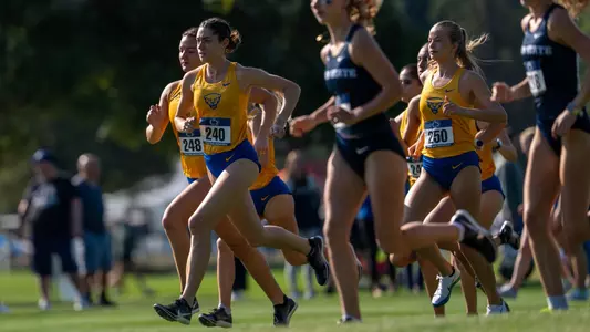 WXC
