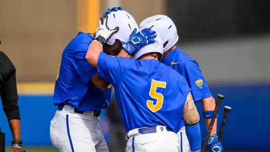Baseball Celebration Action