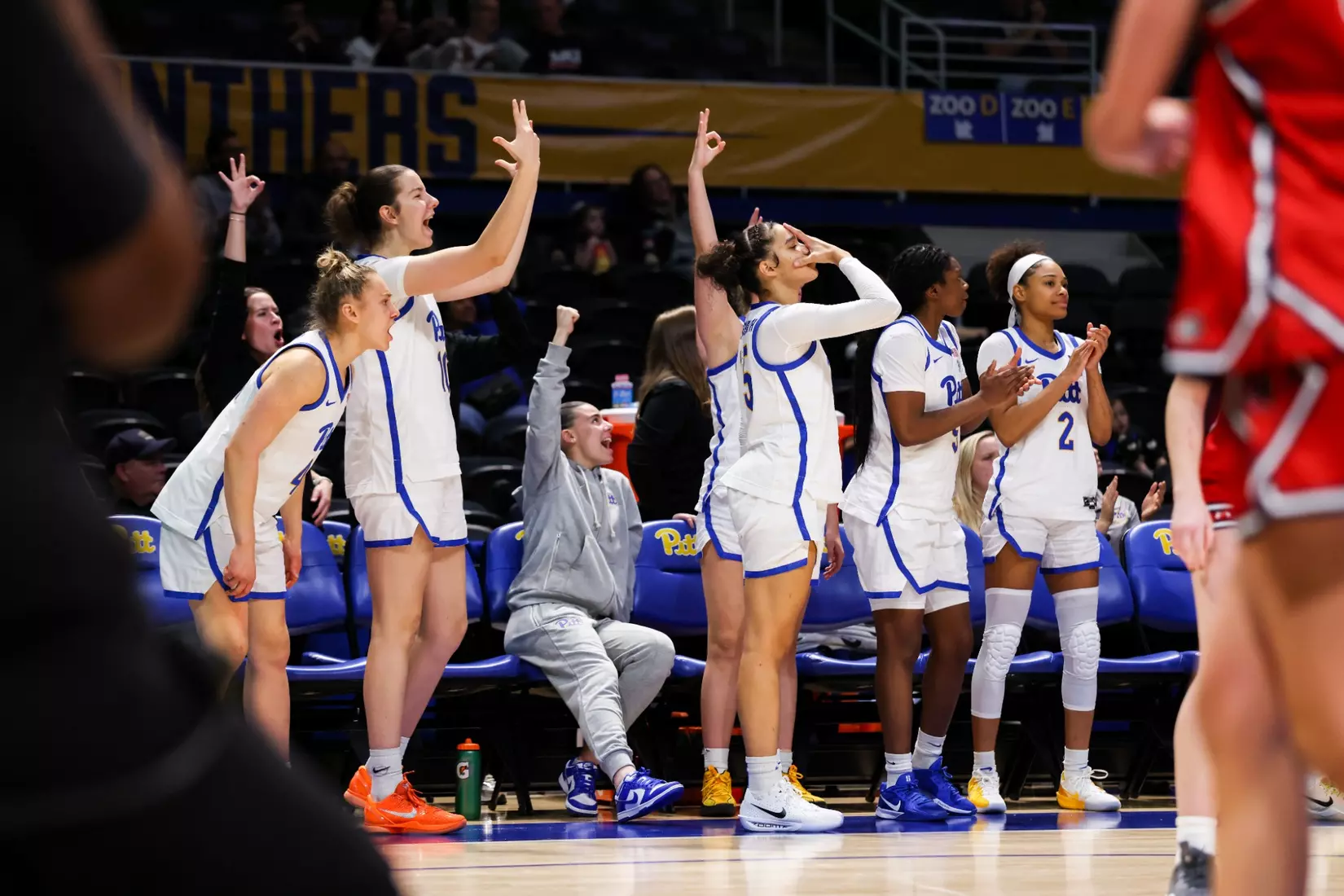 Pitt vs. Robert Morris