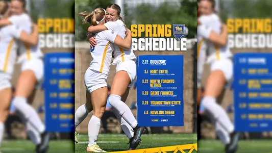 WSOC 25 Spring Web