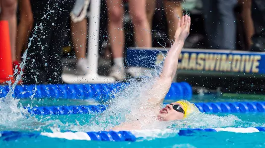 Max Matteazzi Action