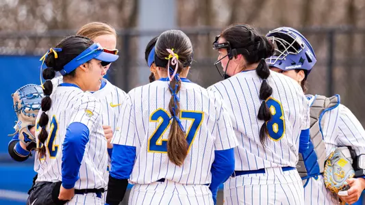Photo of Softball Team Huddle