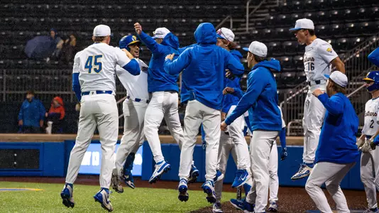 Baseball Celebration