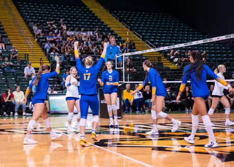 Pitt Volleyball Celebration Against Wright State
