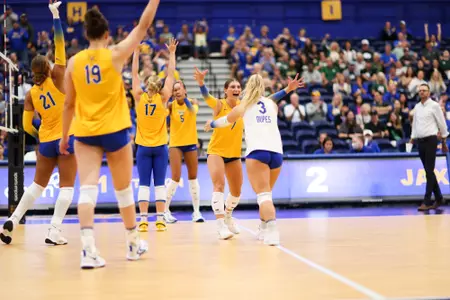 Pitt Volleyball Celebration