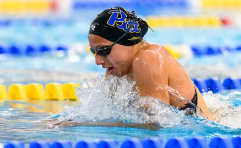 swim and dive preview