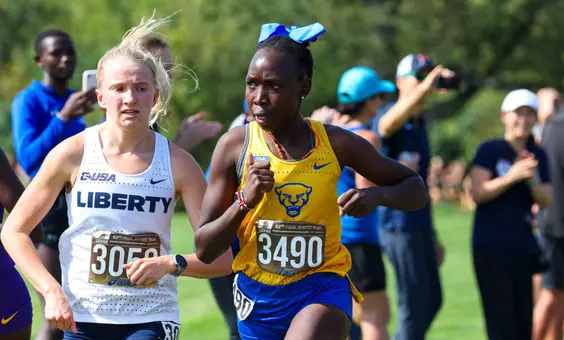 pitt xc - paul short run