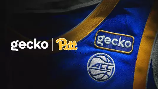 Gecko Robotics