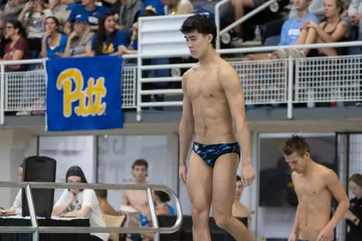 pitt diving