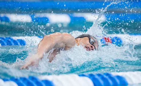 swim men ncaas